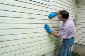 Best Insulated Siding Installation  in Colfax, IL